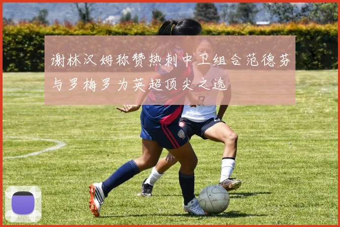 谢林汉姆称赞热刺中卫组合范德芬与罗梅罗为英超顶尖之选